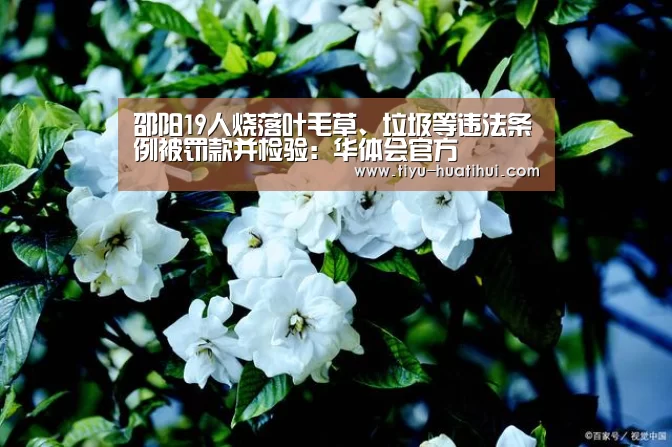 华体会下载