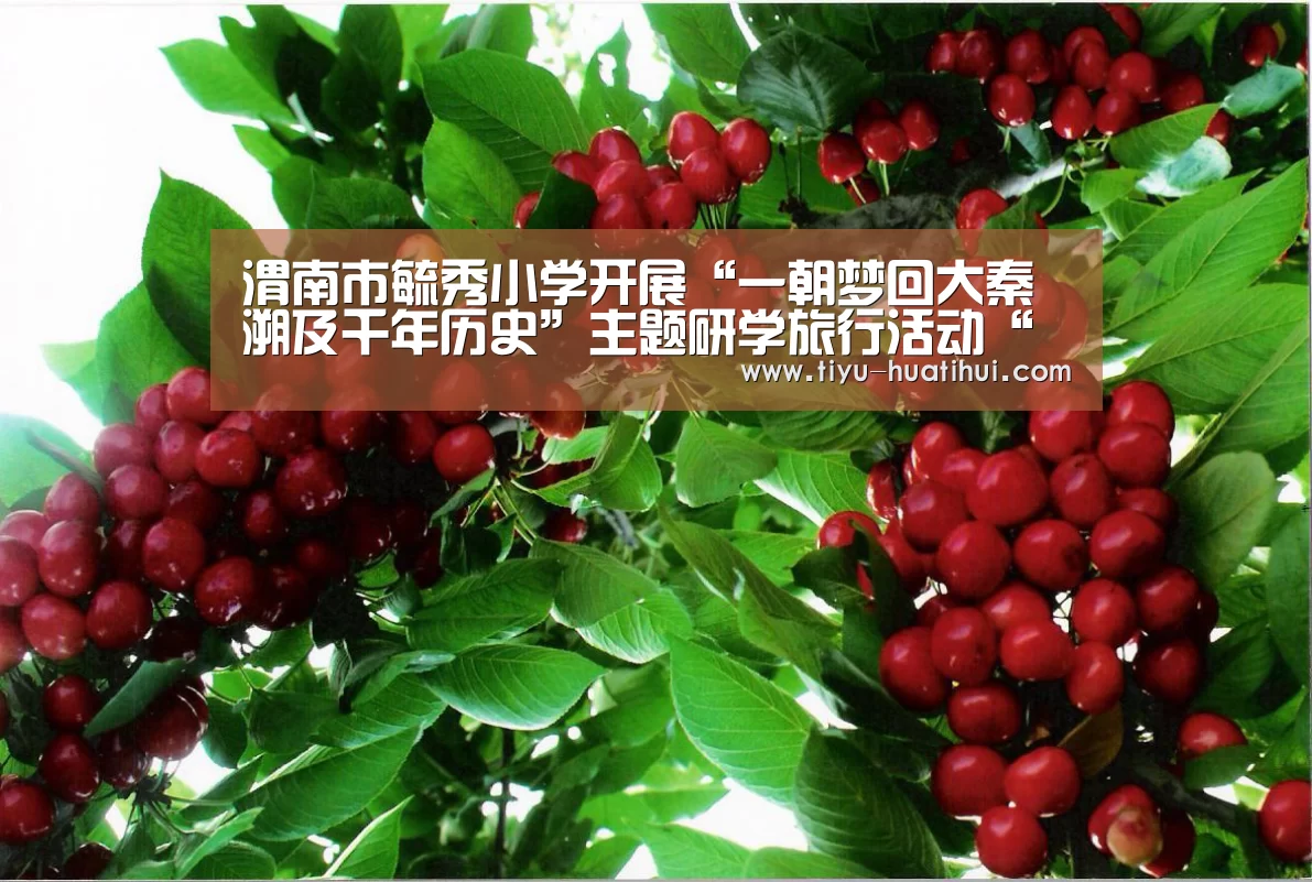 渭南市毓秀小学开展“一朝梦回大秦溯及千年历史”主题研学旅行活动“华体会体育”(图2) 华体会下载