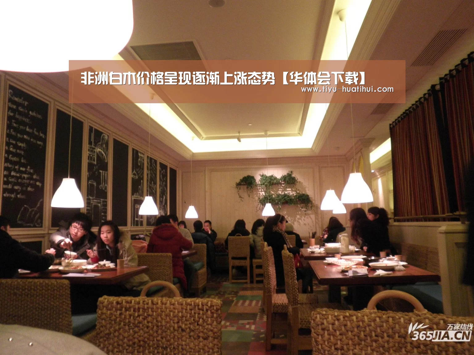 非洲白木价格呈现逐渐上涨态势【华体会下载】(图2) 华体会体育