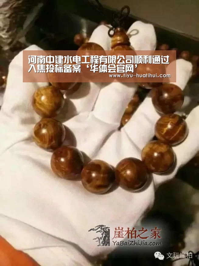 华体会下载