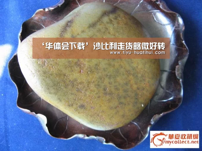 华体会官网