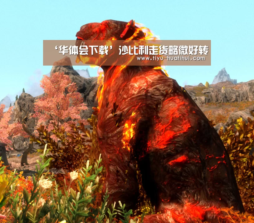 华体会体育